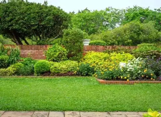 landscaping services Rossmoor